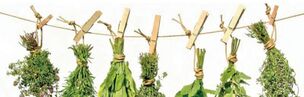 herbes efficaces pour la prostatite