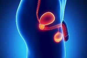 L'inflammation de la prostate